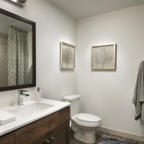 Bathroom options with thoughtful details a bathroom with a toilet mirror and a sink