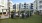 a group of plants in a grassy area next to a building