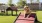 a dog sitting on a ramp in a dog park